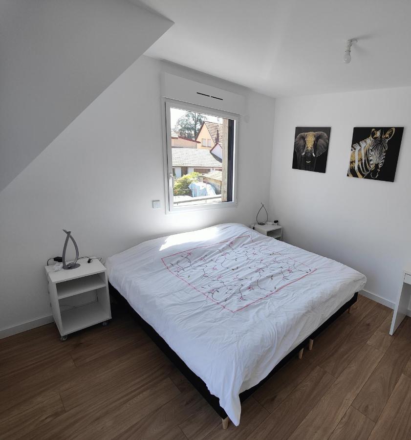 Appartement 48M², Strasbourg Centre A 15 Min En Train Fegersheim Kültér fotó